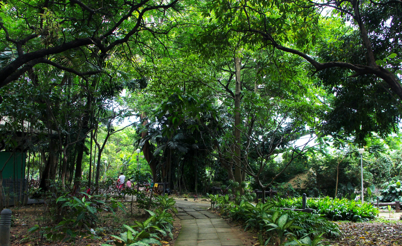 Ninoy Wildlife Park