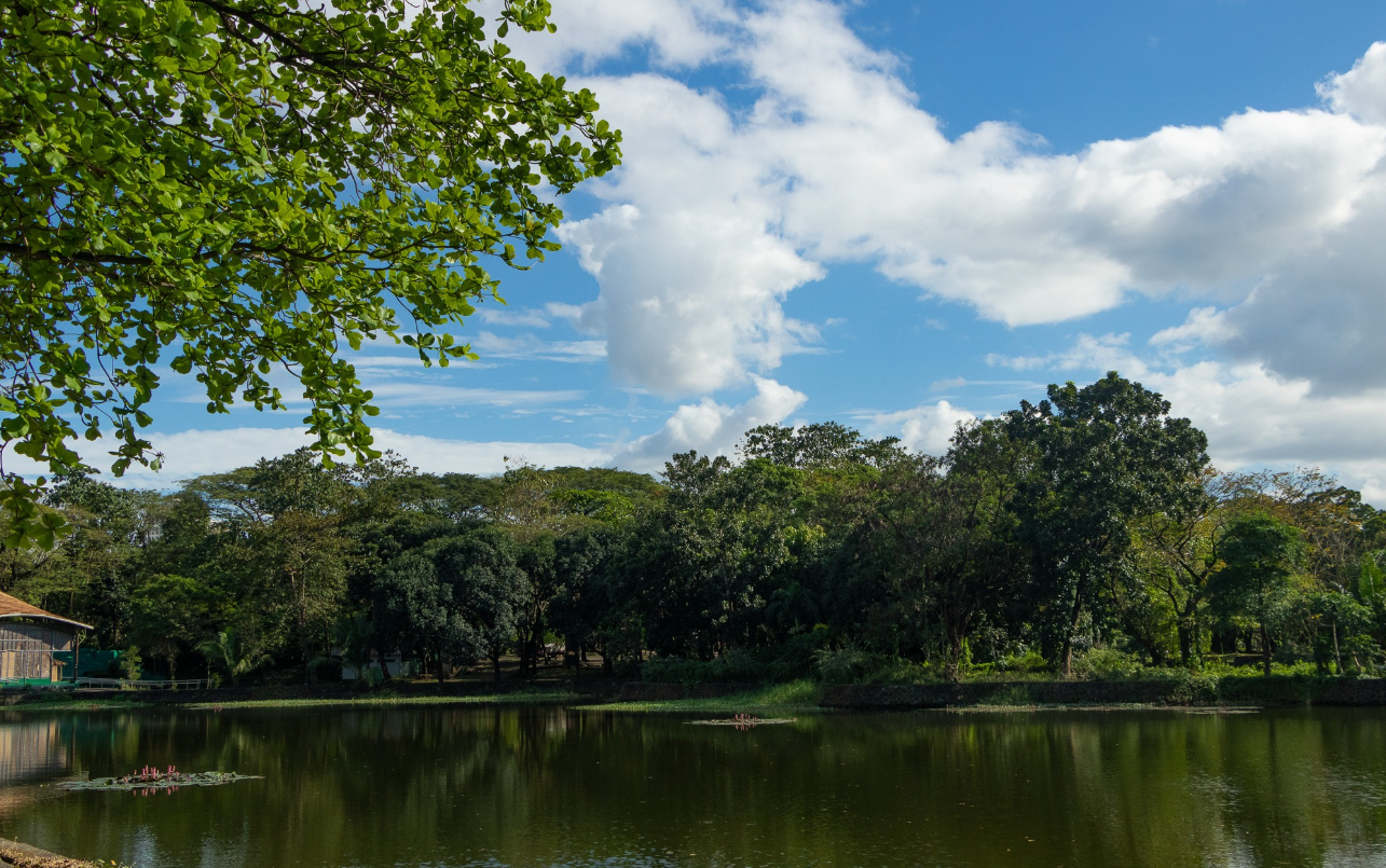 Ninoy Wildlife Park