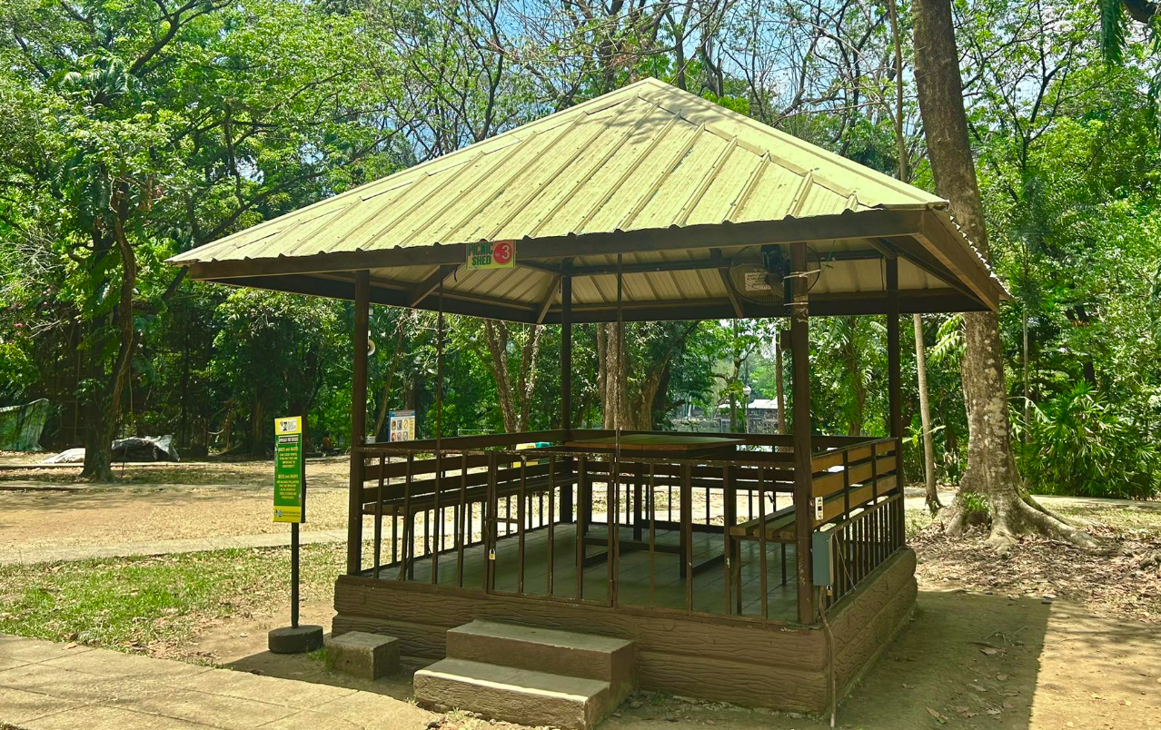 Picnic Shed